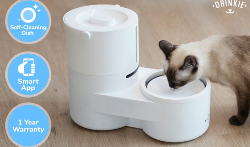 Drinkie: Your pet’s favorite self-cleaning water dispenser