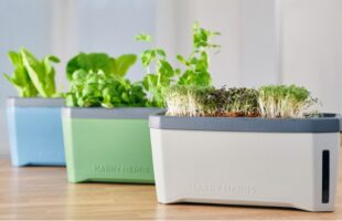 HARRY HERBS – watch your delicious greens grow themselves