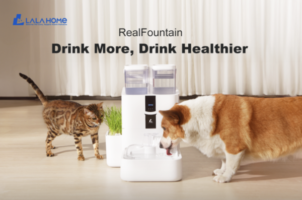 LALAHOME RealFountain DailyFresh Pet Fountain