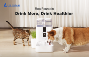 LALAHOME RealFountain DailyFresh Pet Fountain