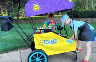 AllBoss, Carts with a Cause- The Next-Gen Lemonade Stand