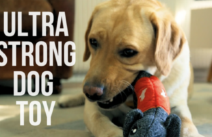 CHEEKY | The strongest and safest dog toy !