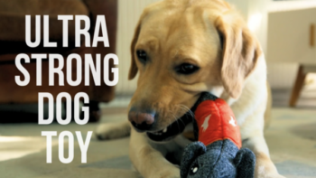 CHEEKY | The strongest and safest dog toy !