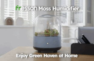 Fresson Moss Humidifier: Enjoy Green Haven at Home