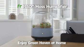 Fresson Moss Humidifier: Enjoy Green Haven at Home